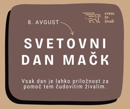 Slika: napis svetovni dan mačk