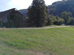 l_254630IMG_20200921_161645