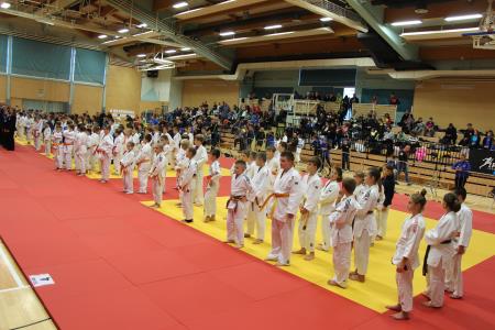 judoisti