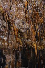 19577324_851446128344655_4604749231024739502_o