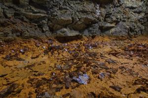 19693495_851446091677992_4525876402814065953_o