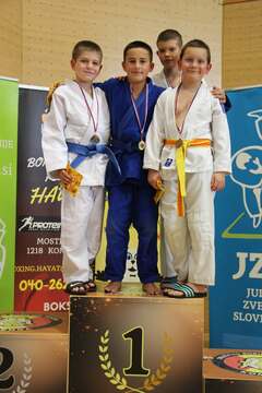 judoisti