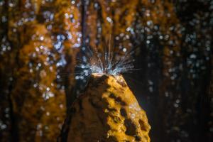 Rudnik_Sitajevec_Litija_foto_peter_skrlep_1